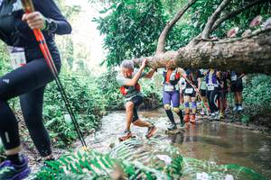 BIB: 
                            <button type="button" onclick="openModal(25472028)" class="btn btn-primary btn-sm float-right btn-popup" data-toggle="modal" data-target=".modal-high-quality">
                        <i class="fas fa-shopping-cart"></i> Add to Cart
                    </button>
                                            <button type="button" onclick="isThisMe(25472028, true)" class="btn btn-success btn-sm float-right btn-popup btn-isme hidden" data-toggle="tooltip" data-placement="bottom" title="นี่คือรูปของคุณใช่ไหม คลิกที่นี่เพื่อเอาเข้าอัลบั้ม">
                        <i class="fas fa-plus"></i> Add to album
                    </button>
                    <button type="button" onclick="isThisMe(25472028, false)" class="btn btn-warning btn-sm float-right btn-popup btn-isnotme hidden">
                        <i class="fas fa-ban"></i> Remove from album
                    </button>